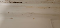 Hair on the shower floor