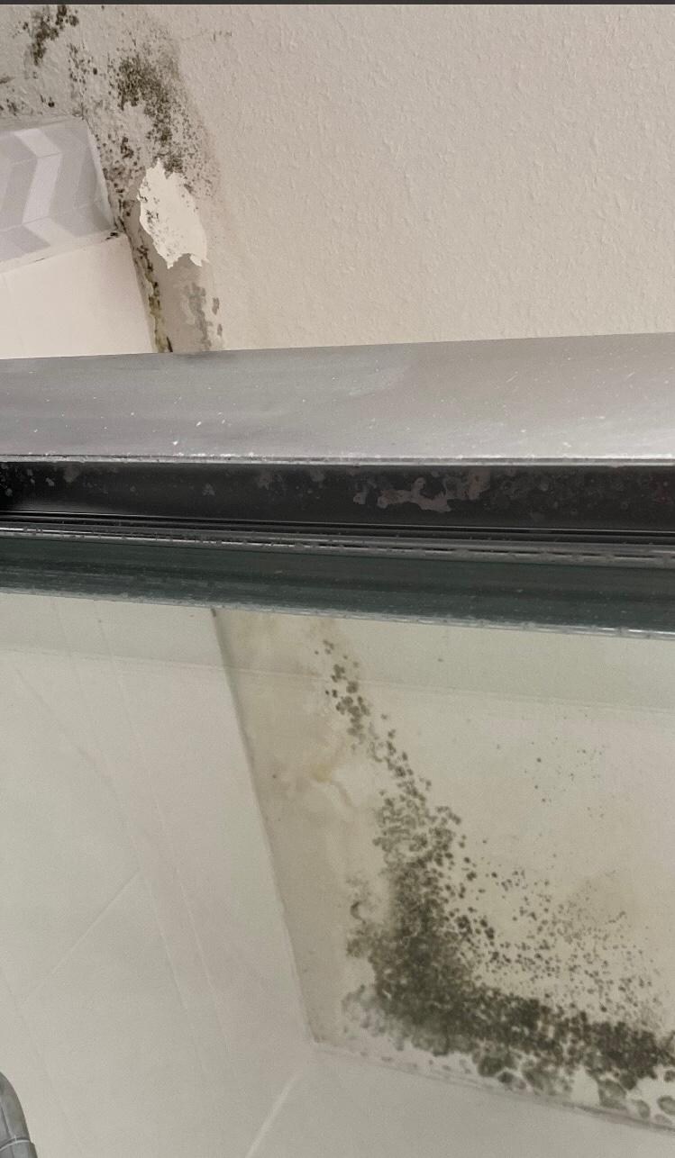 Shower ceiling