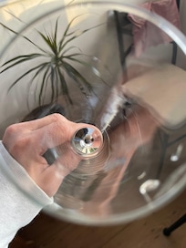 Mold inside glassware
