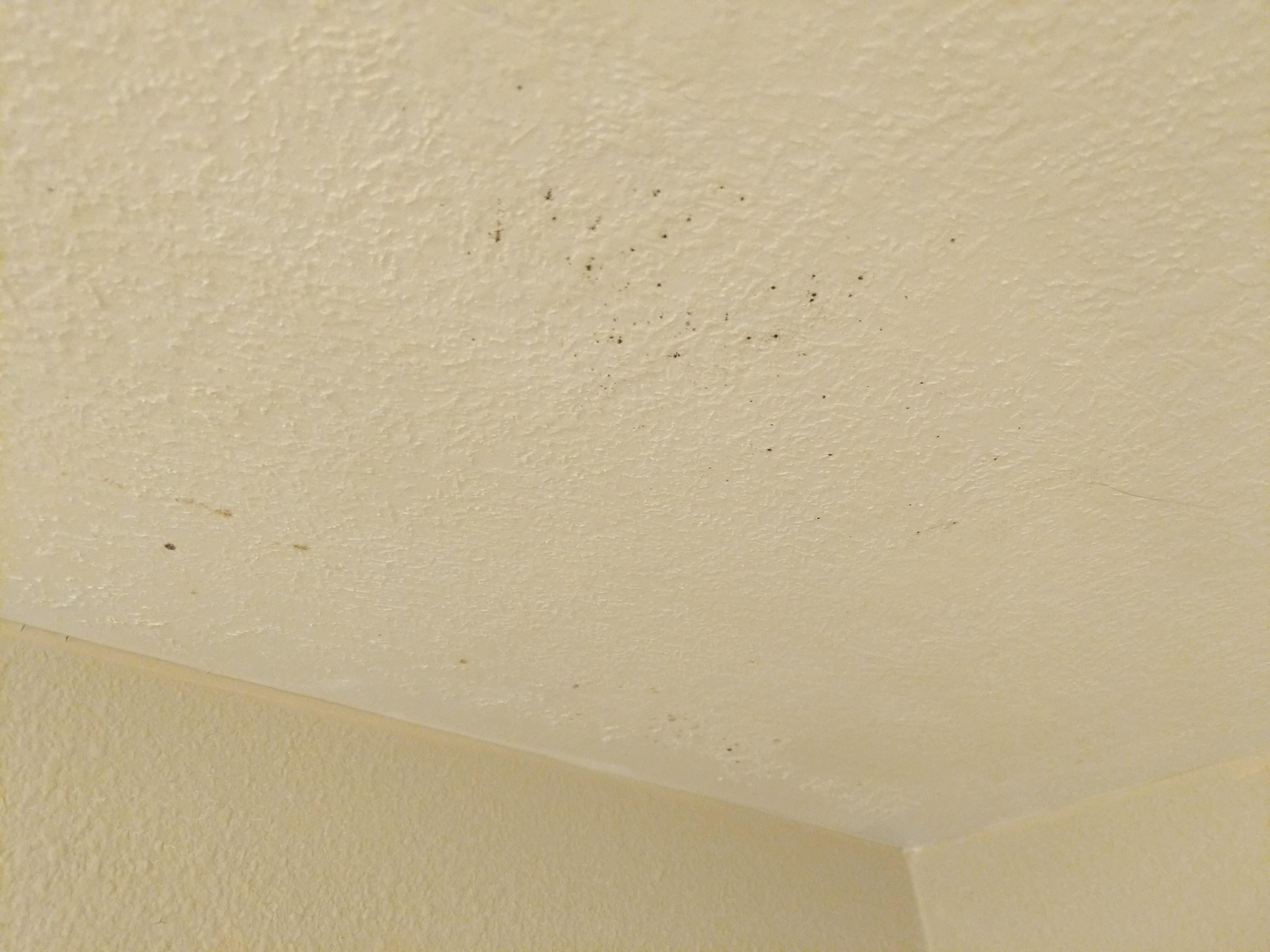 Mold ceiling bathroom