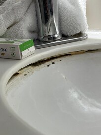 Mold in sink