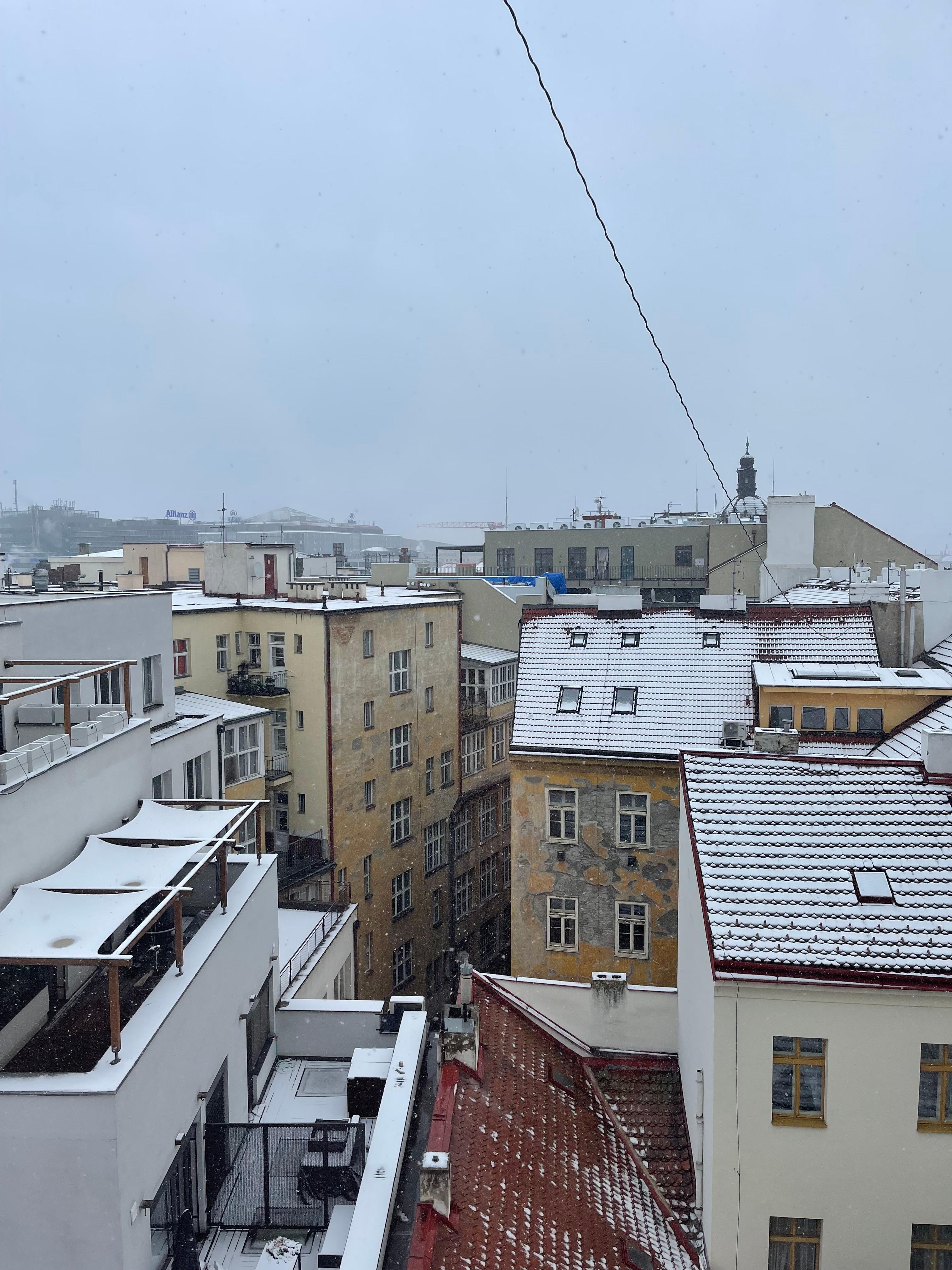部屋からの眺め
