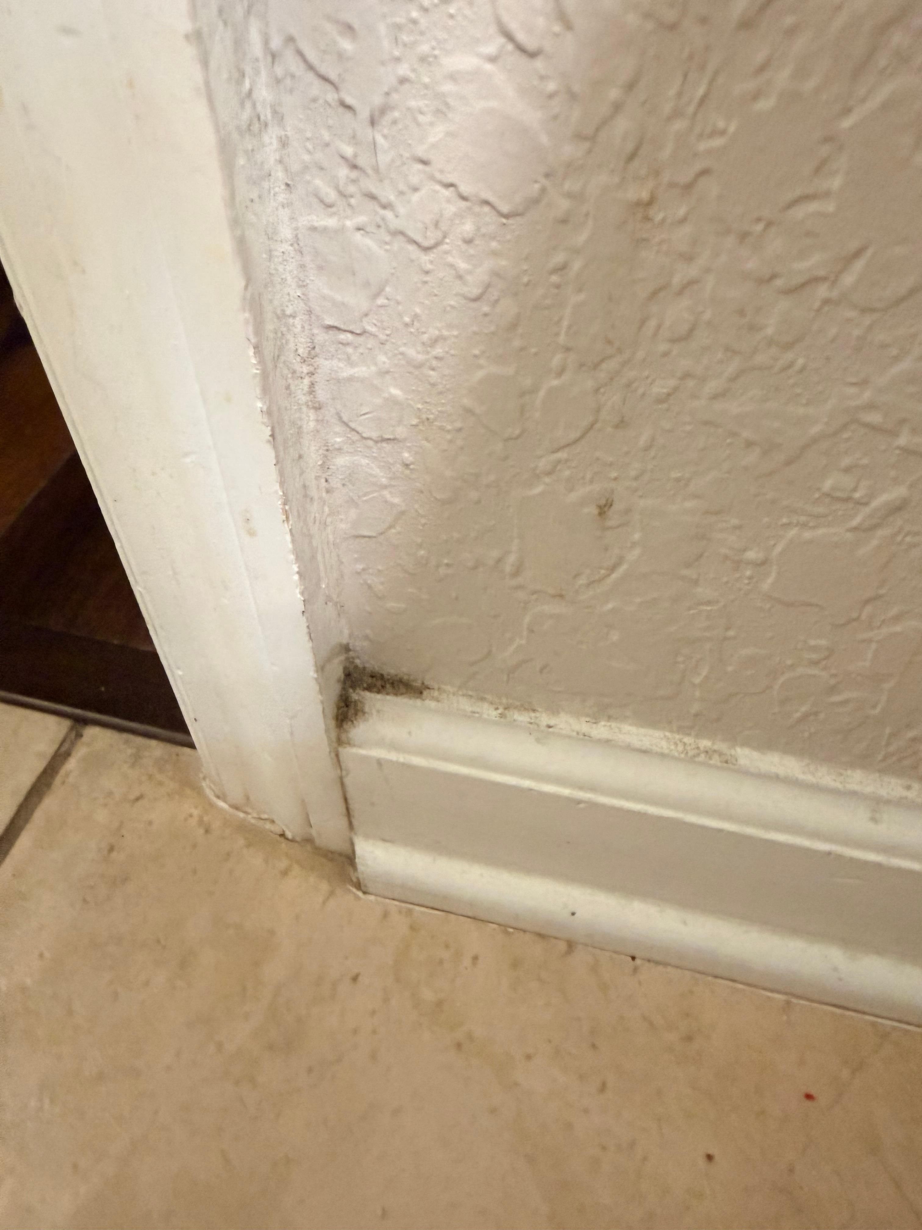 Caked dirt on the living room baseboards. 