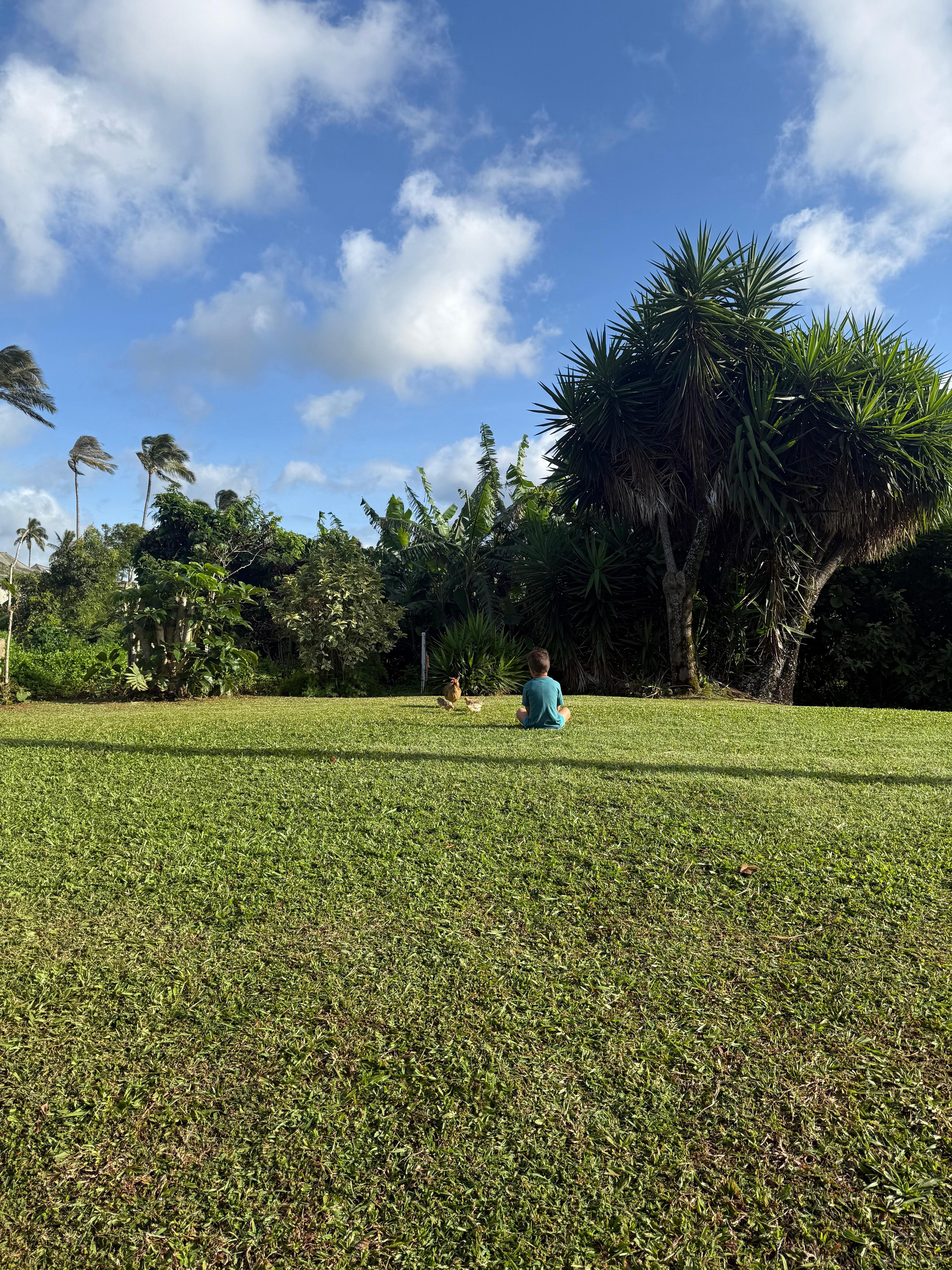 The view out the back slider