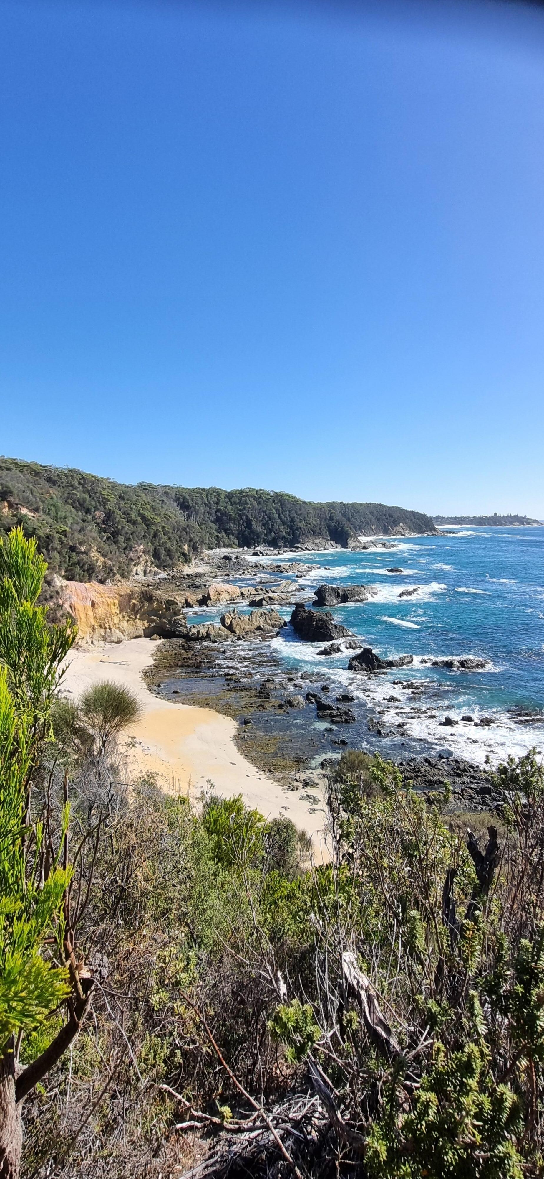 Coastline view from Michael Lerner lookout