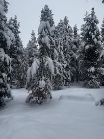 View from the bedroom window
