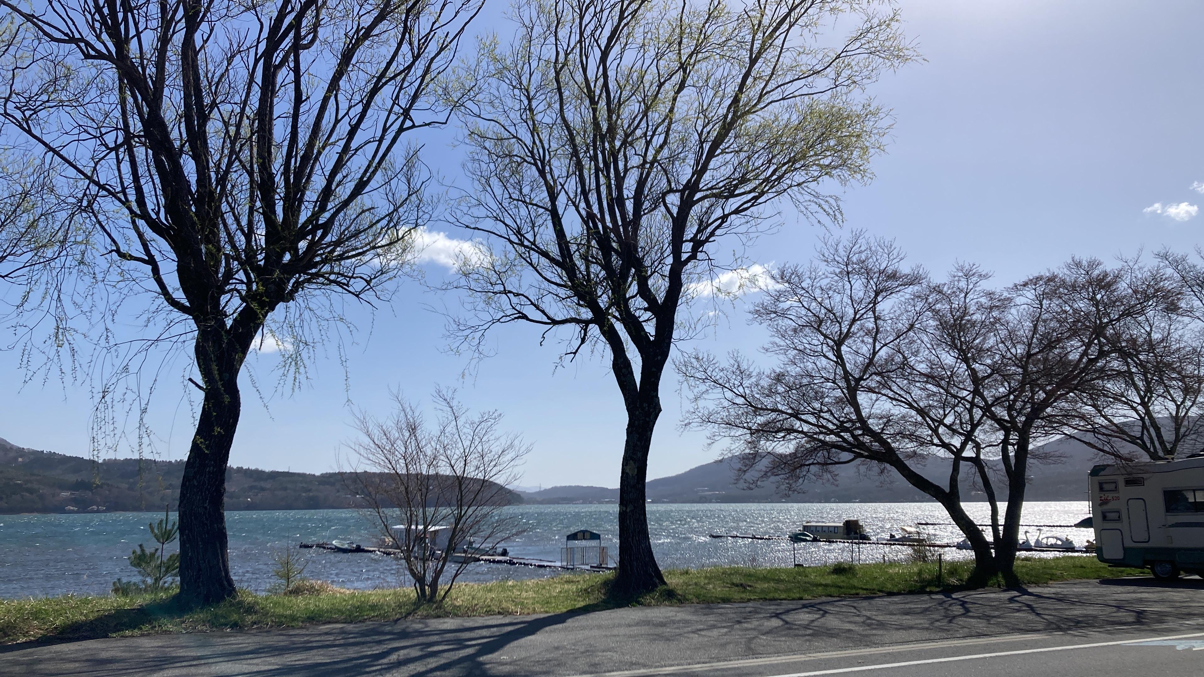 View of lake opposite the bus stop.