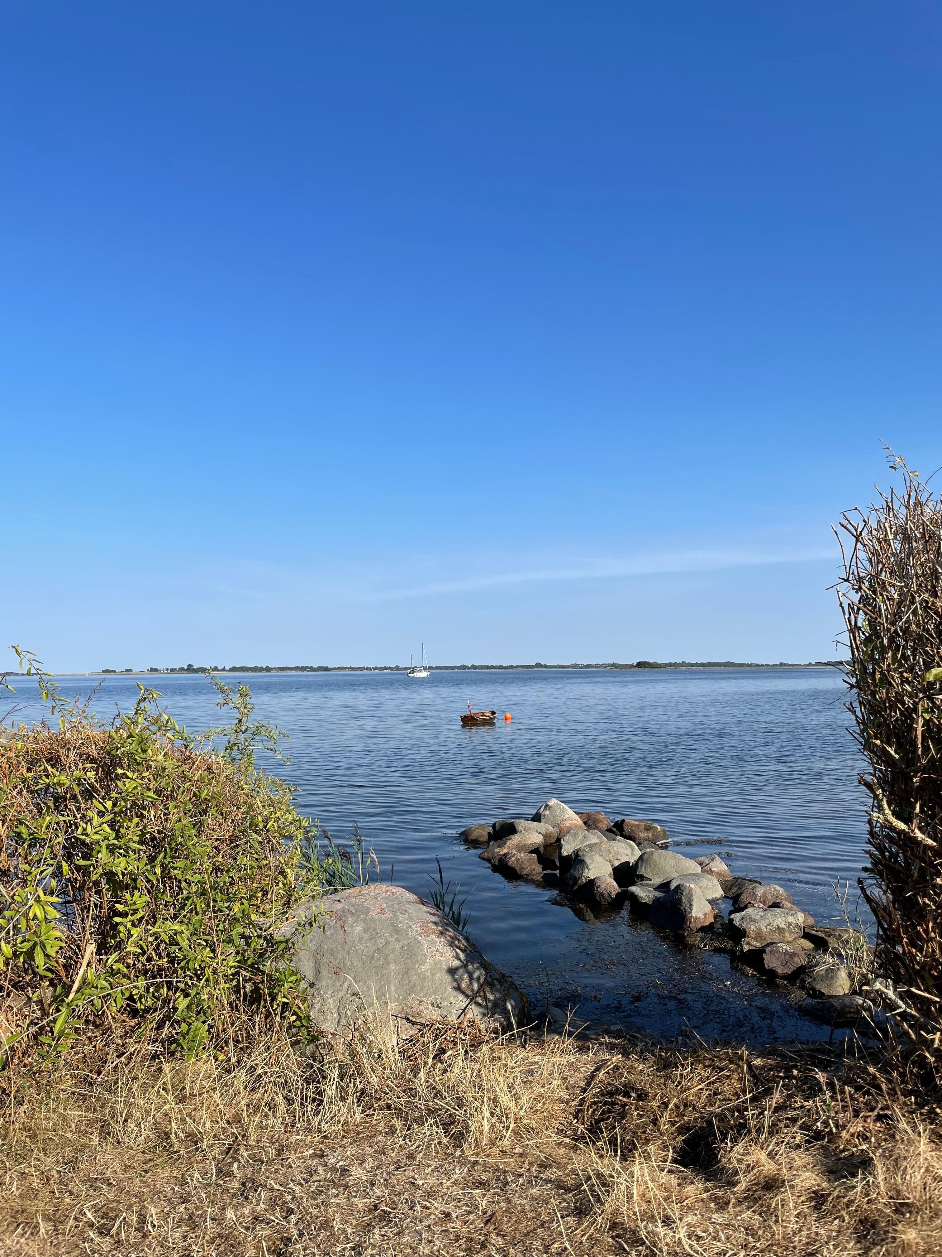 Udsigt fra haven
