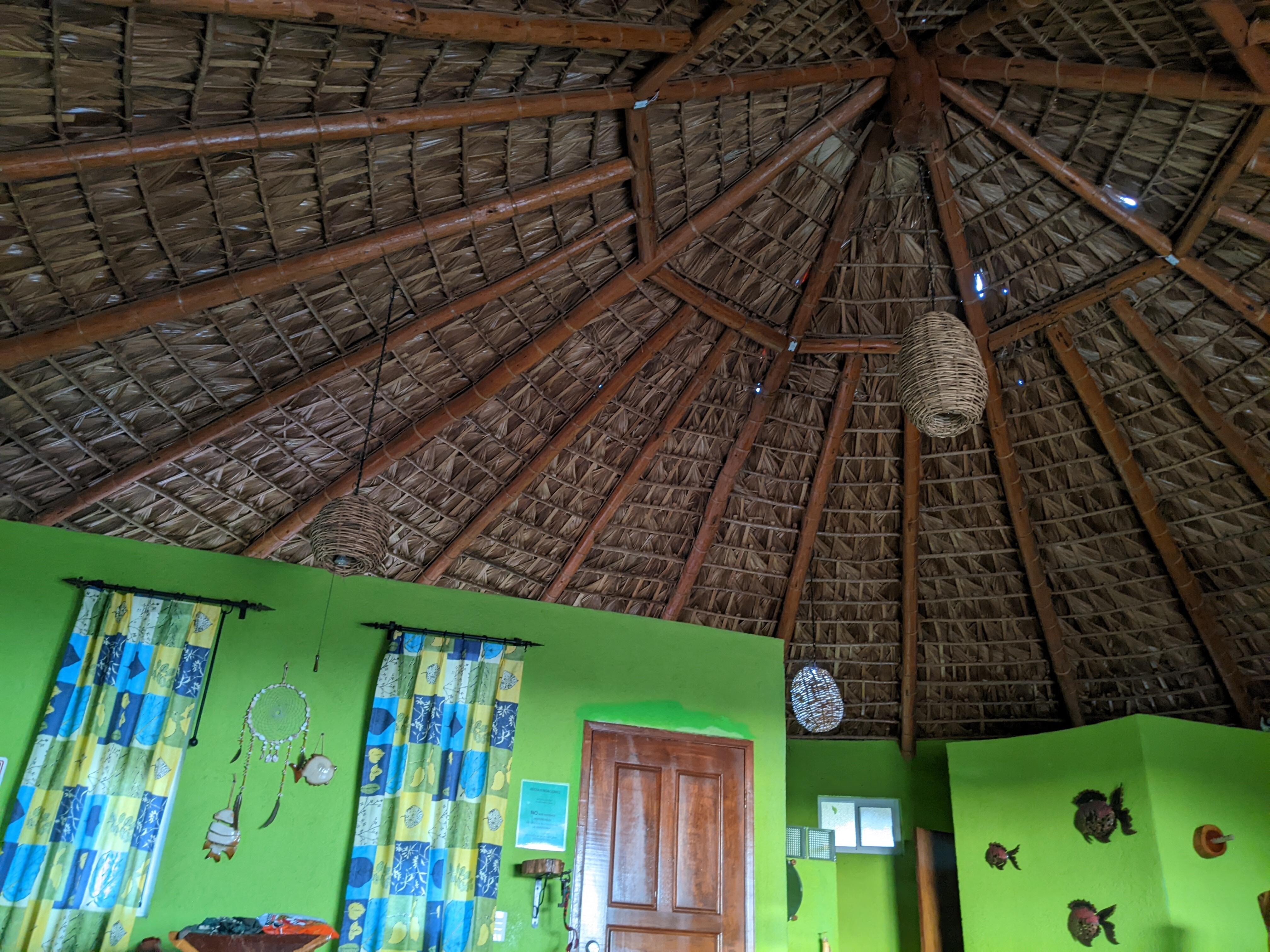 Palapa style ceiling, low lights