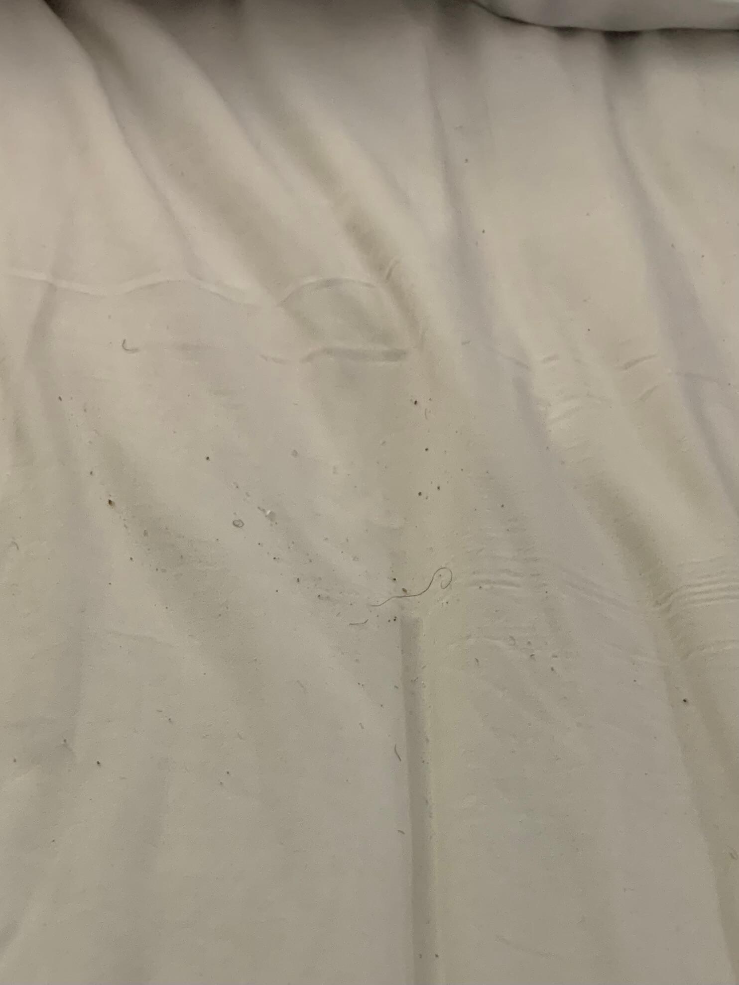 Pubic hairs and bodily fluids