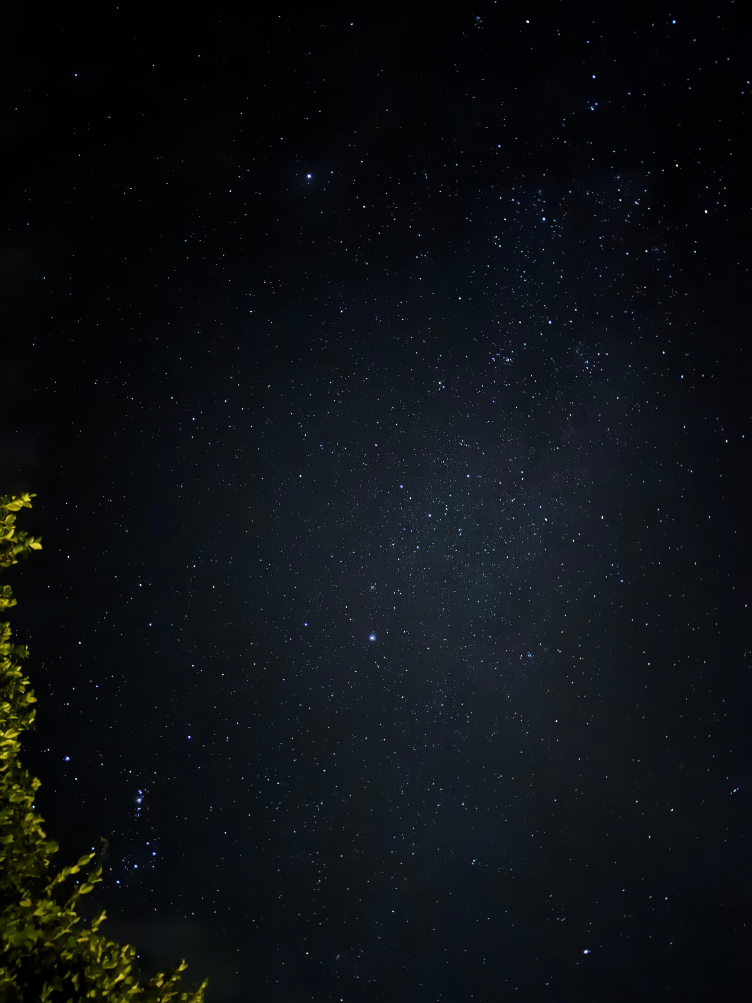 Stargazing in the backyard