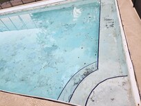 A true picture of the pool. Had bathing suits but did not wish to go in it. Looked like it was probably pretty shallow.