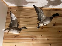 Master bedroom
Night watch