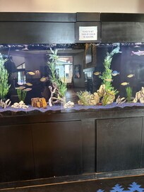 Aquarium in the hotel lobby