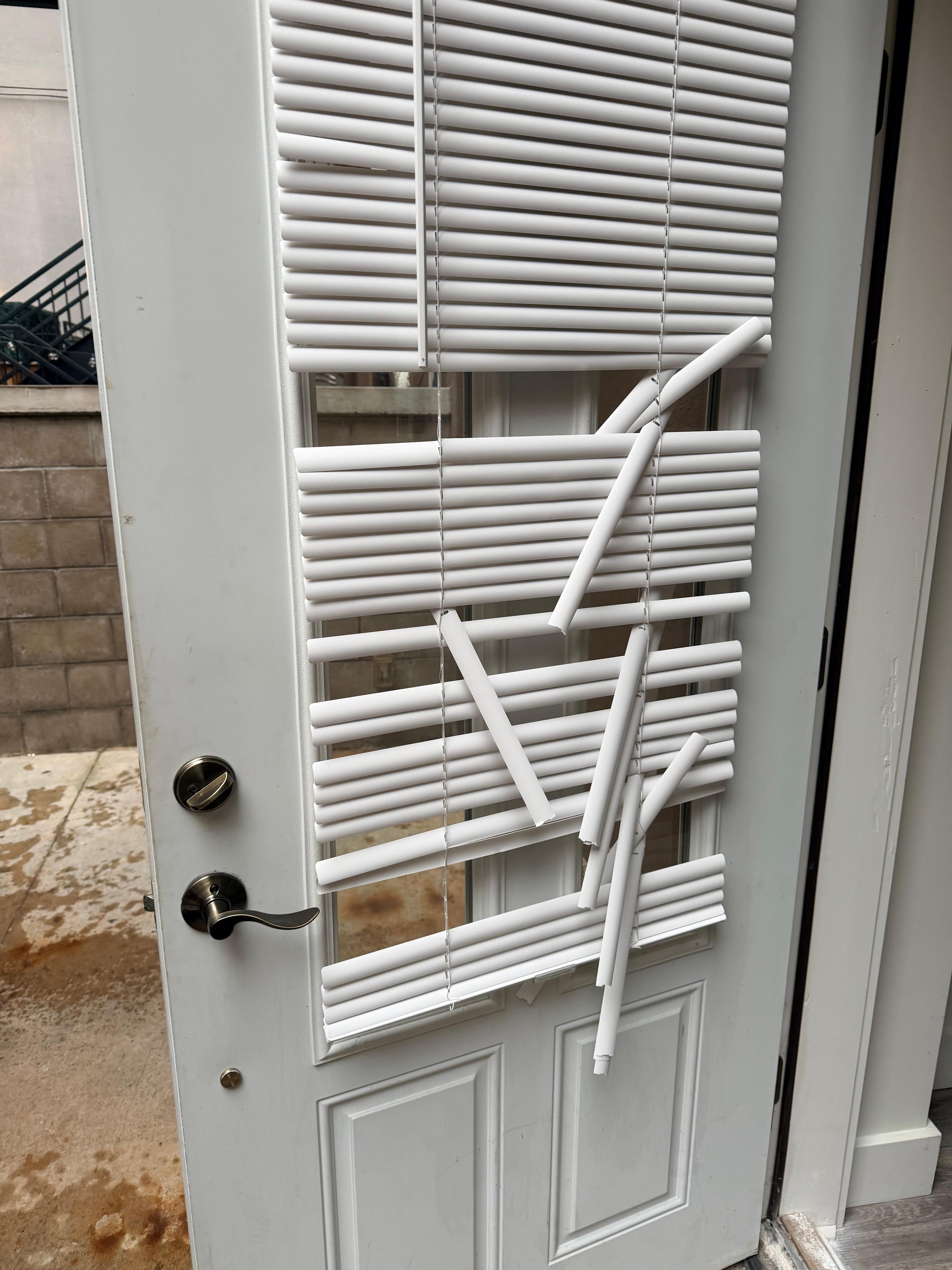 The blinds to the back door.