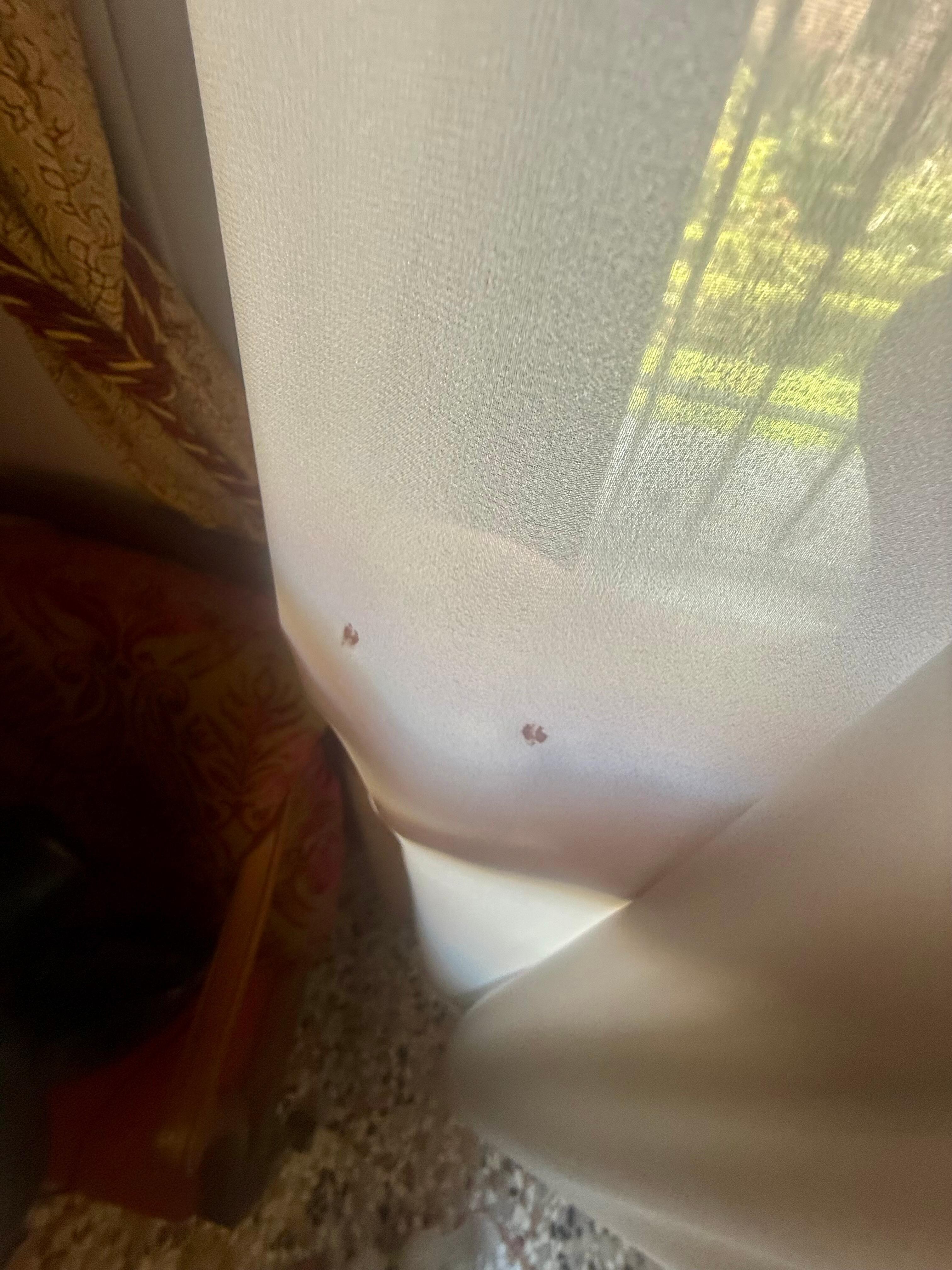 Stains bugs killed all over the curtains.They smell of mold.