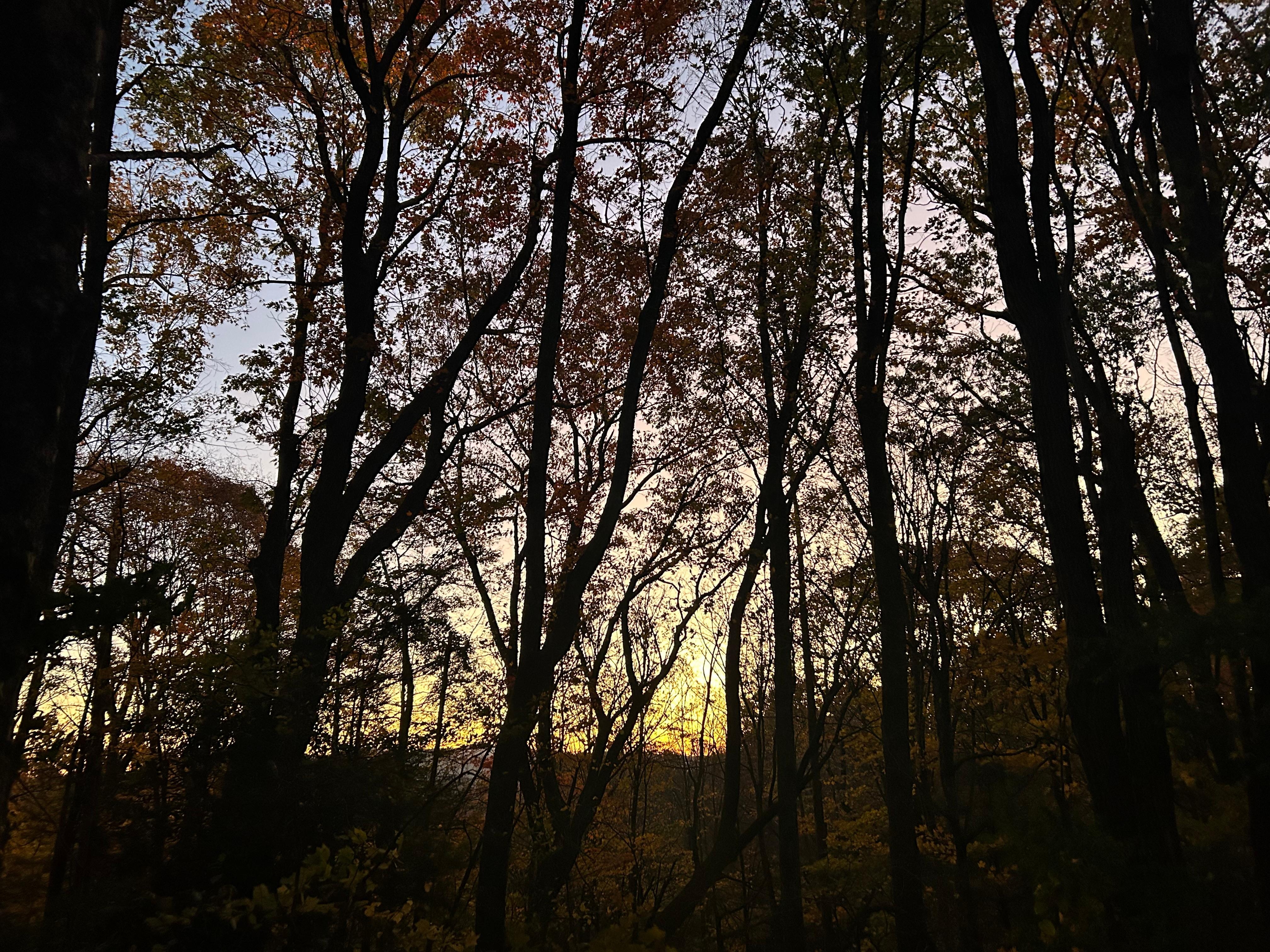 Sunrise off the back deck