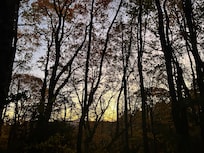 Sunrise off the back deck