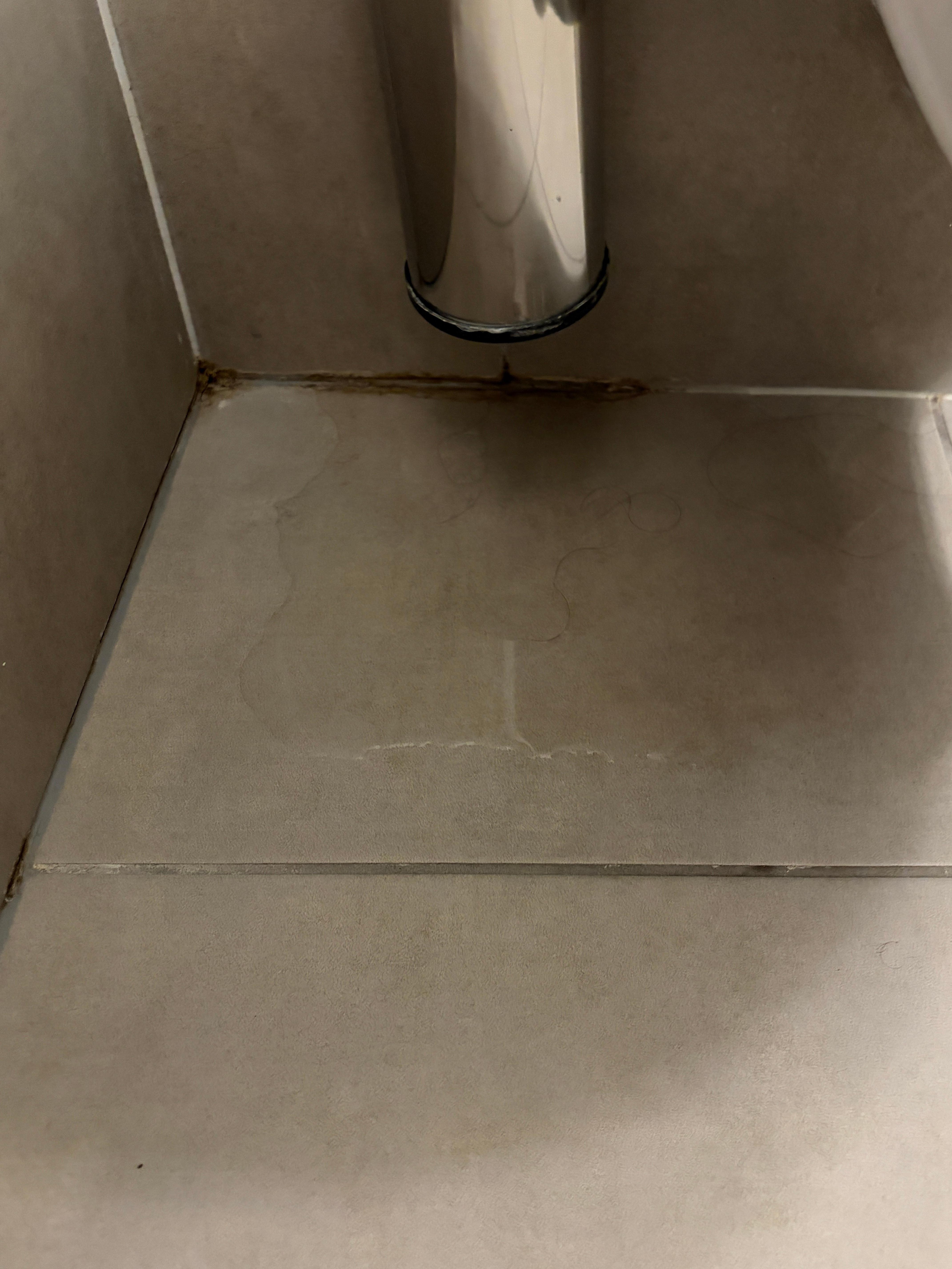 Water even appearing under the toilet bowl