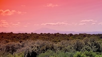 View from the terrace of the house onto the Mont Ventoux on the horizon