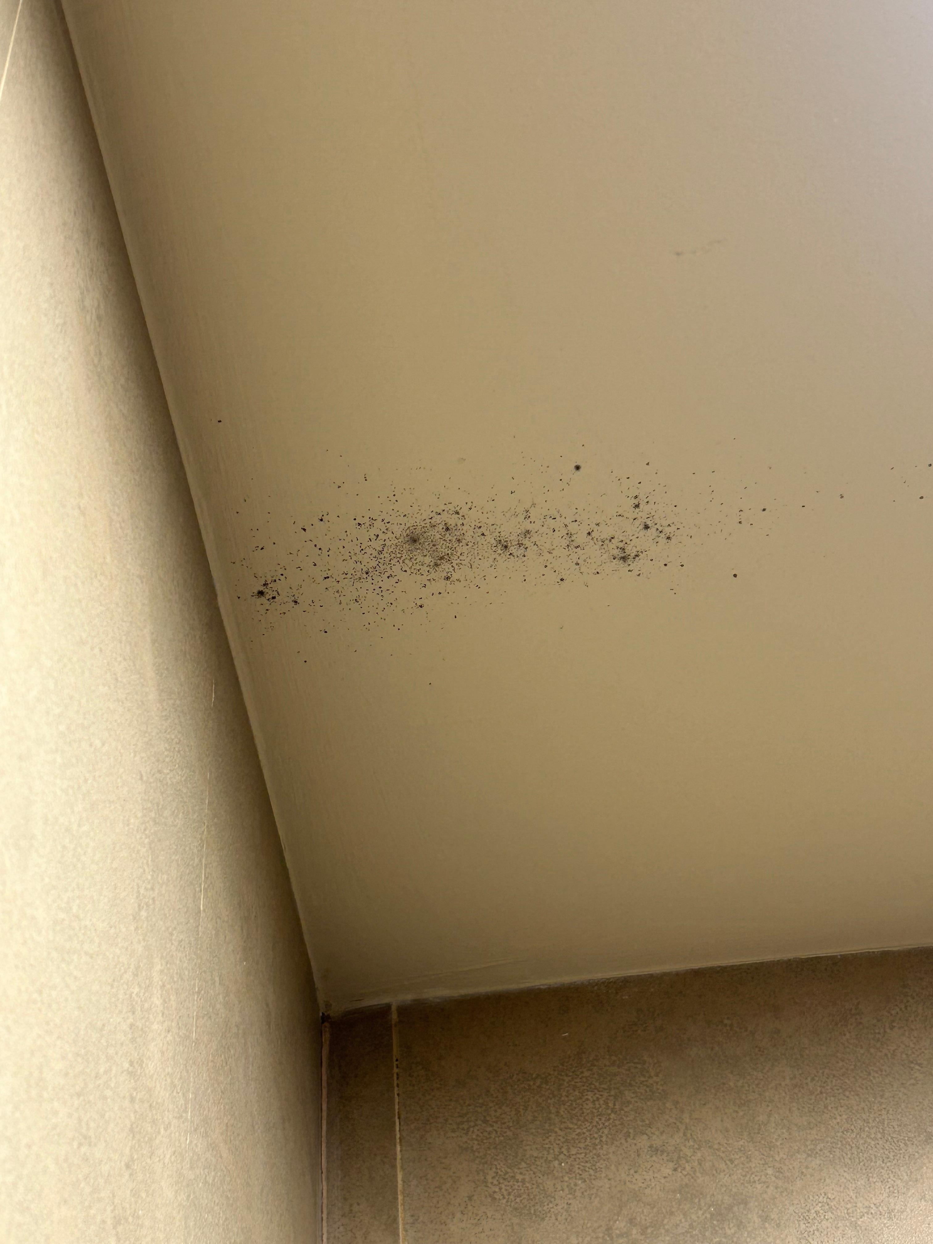 Soffitto in bagno sopra il bidet