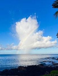 The rainbow was my view from the lanai with morning coffee - another day there were dolphins!