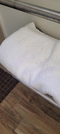 Dusty towels