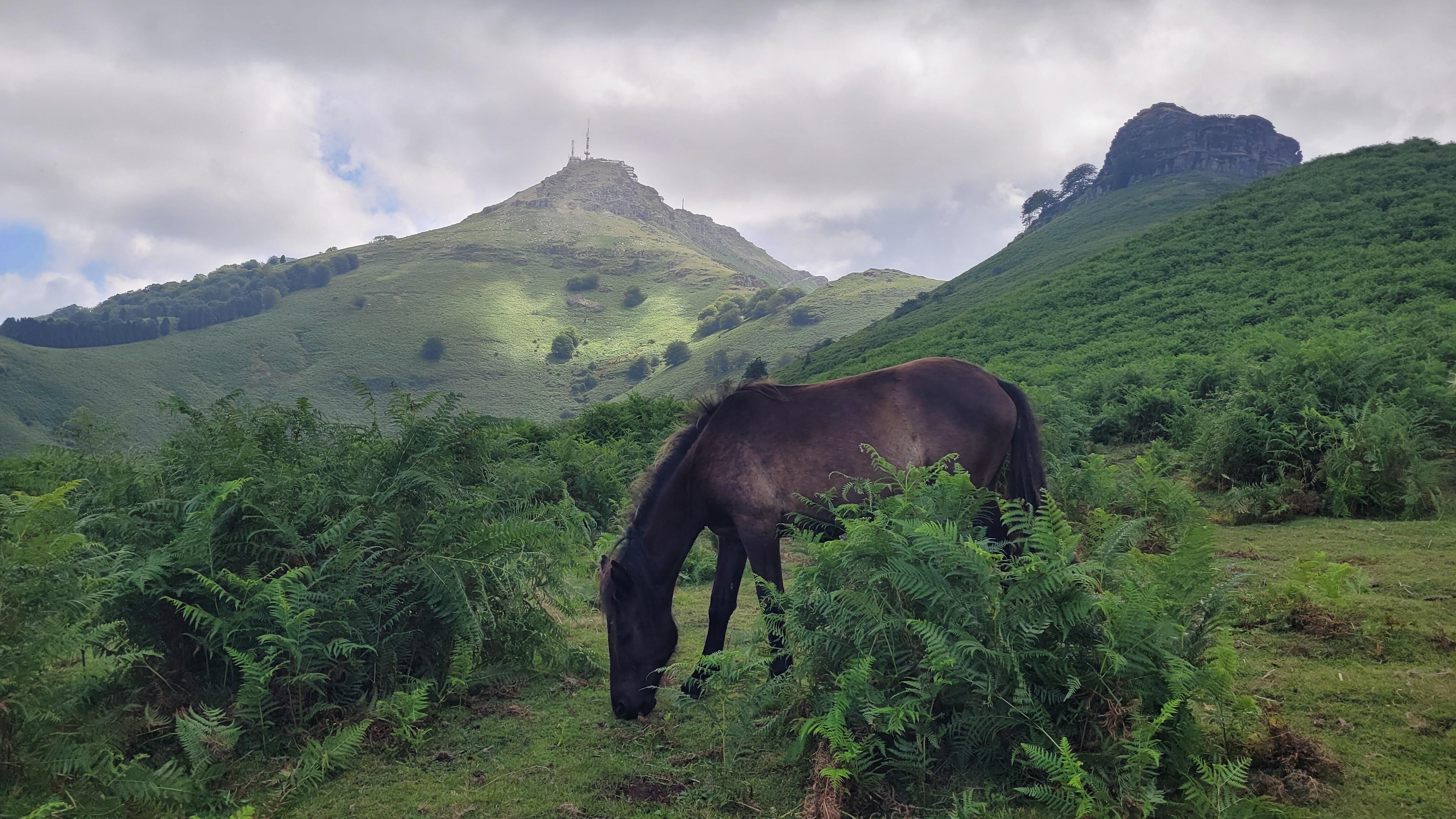 L'ascension de la Rhune ...une belle  randonnée. 