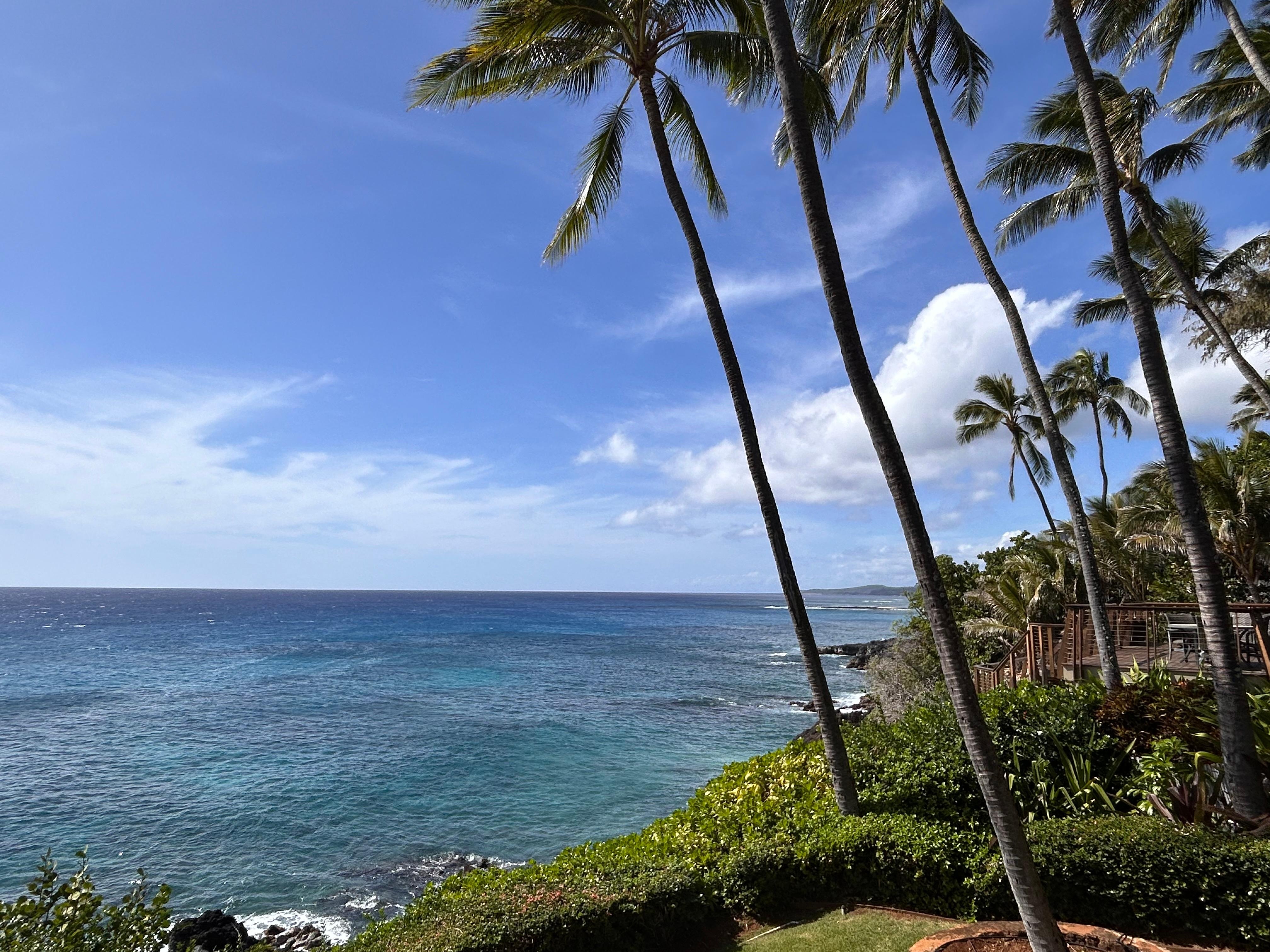 View from the balcony