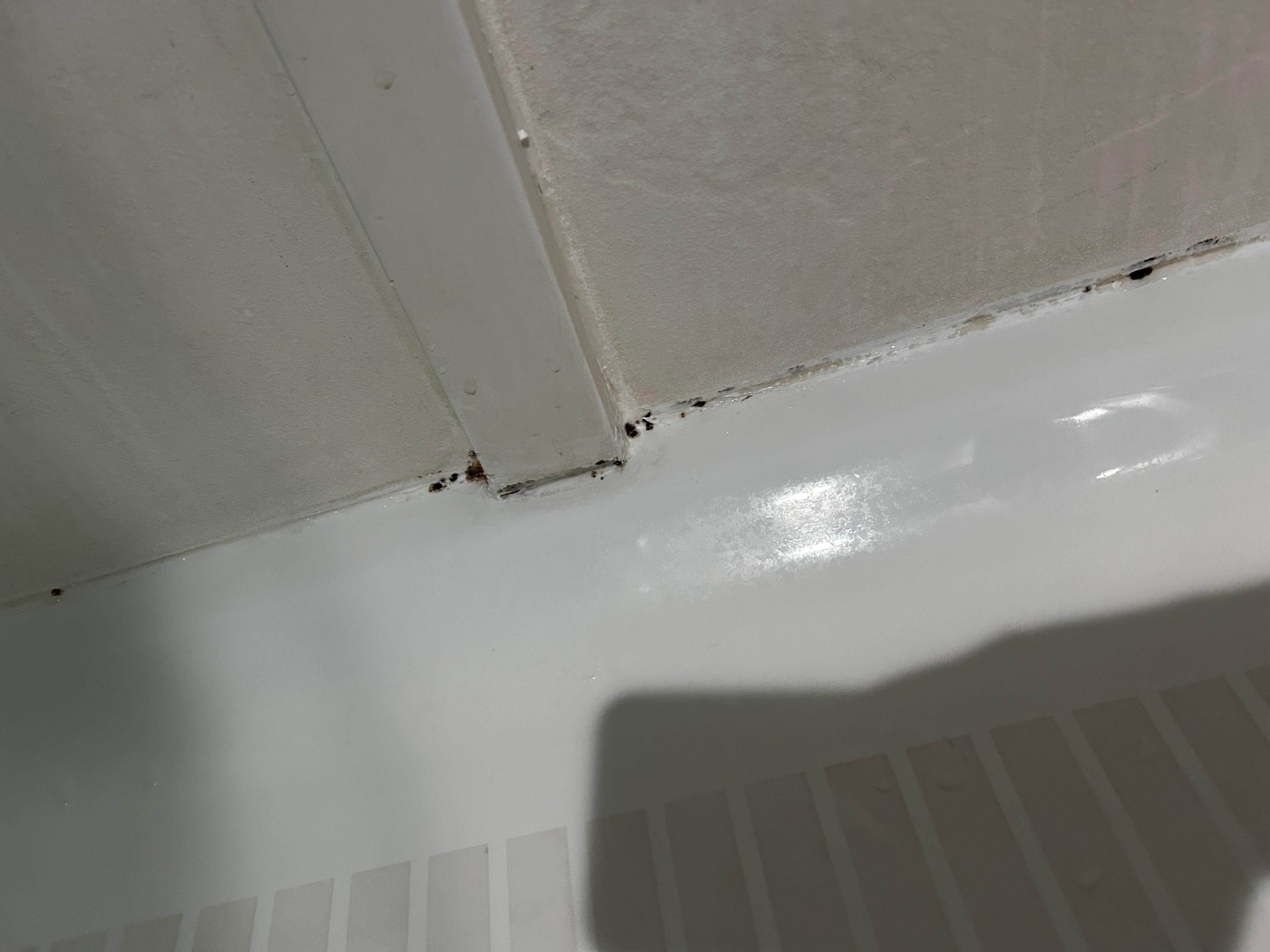 even more shower grime had to be the worst shower i have ever seen in a hotel!
