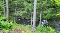 Scenery behind the cabin