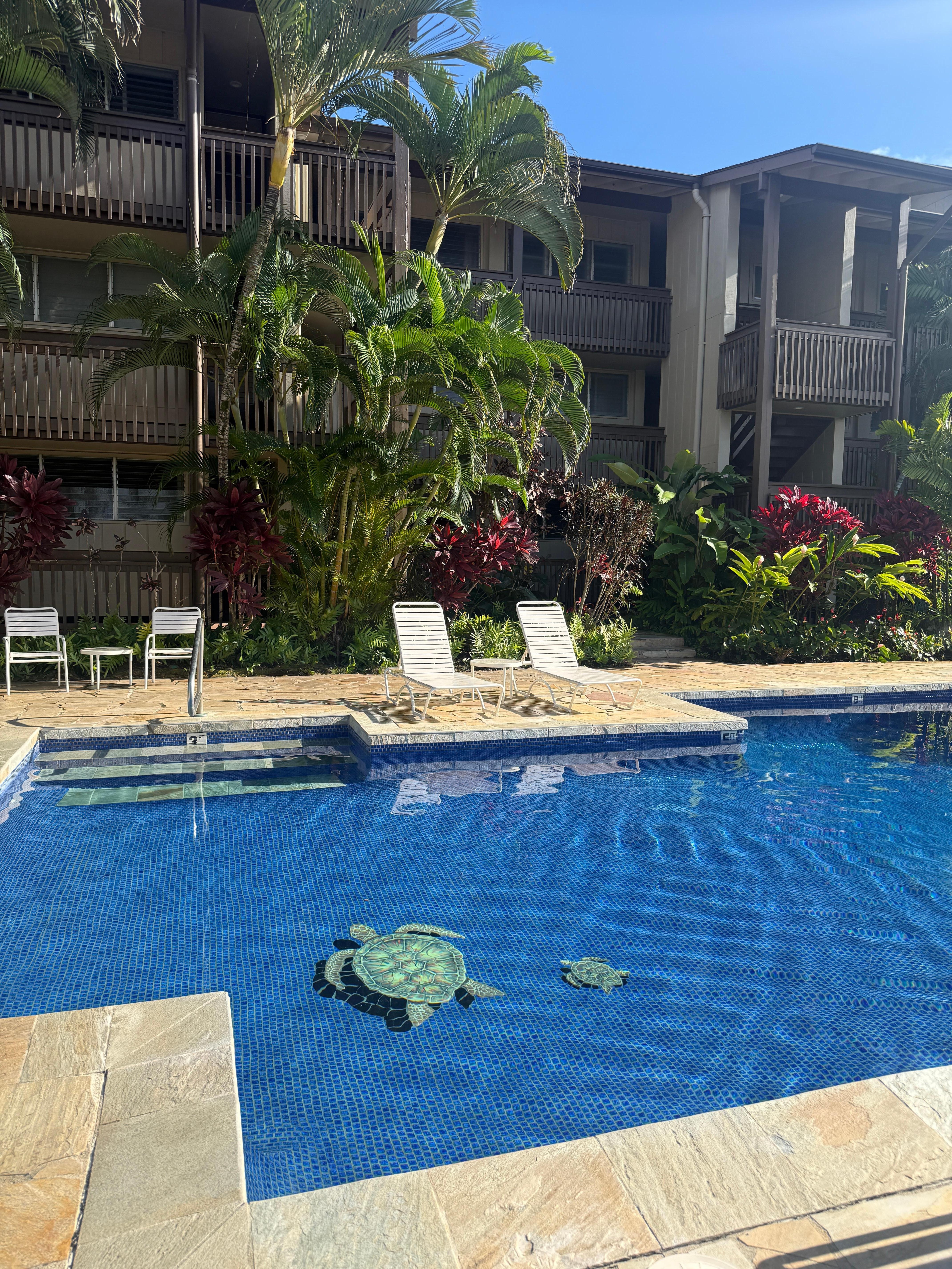 The pool, facing the unit