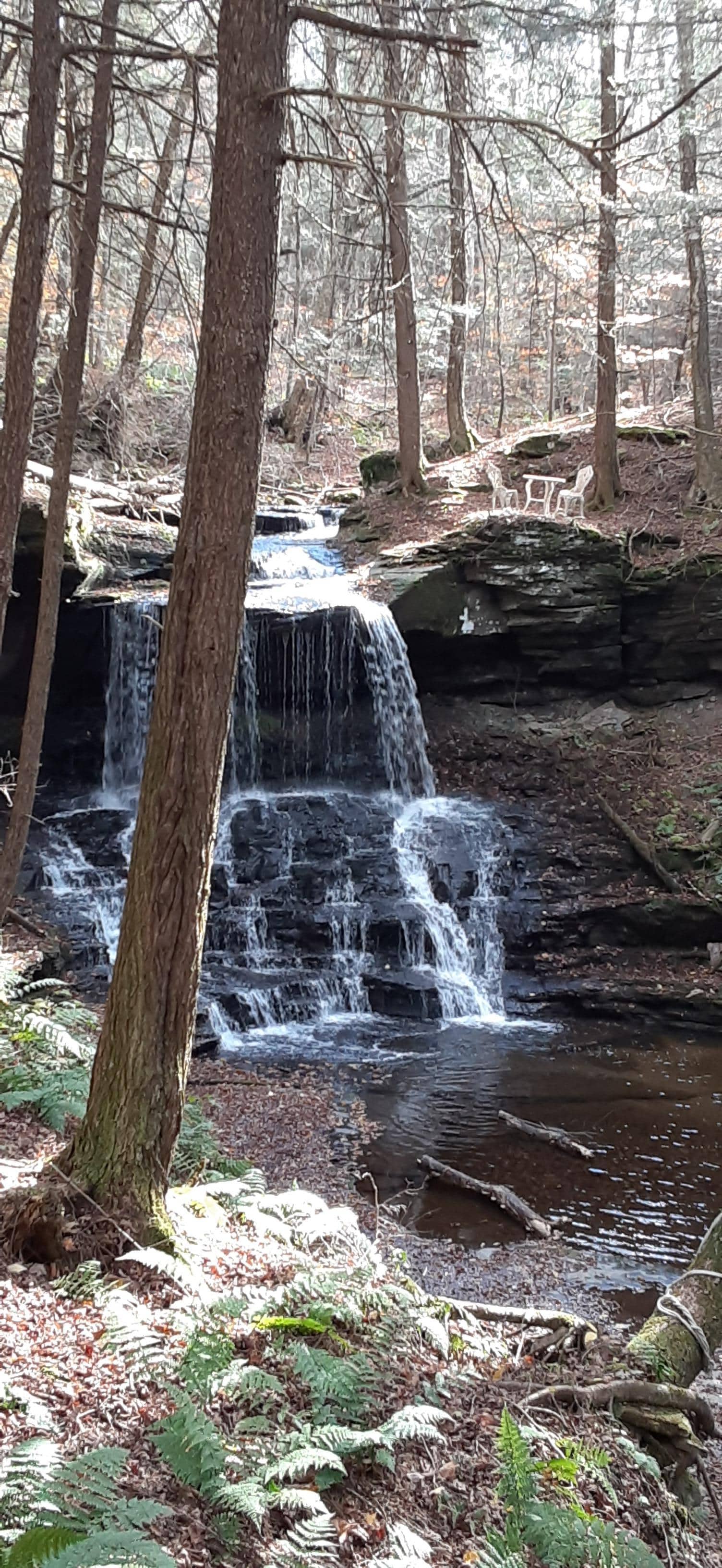 Waterfall on property 