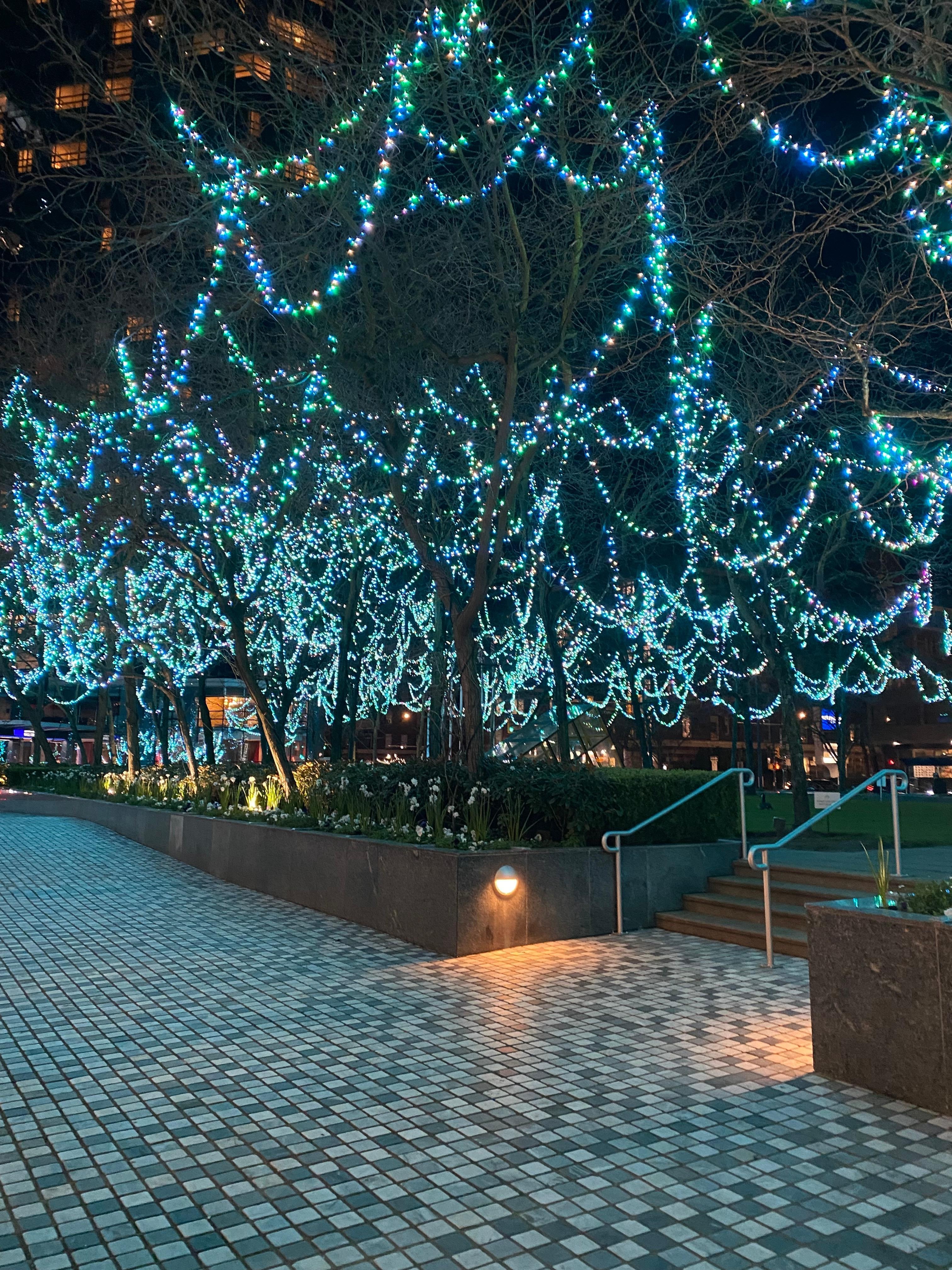 Beautiful courtyard/entrance/grounds (lit up at night)