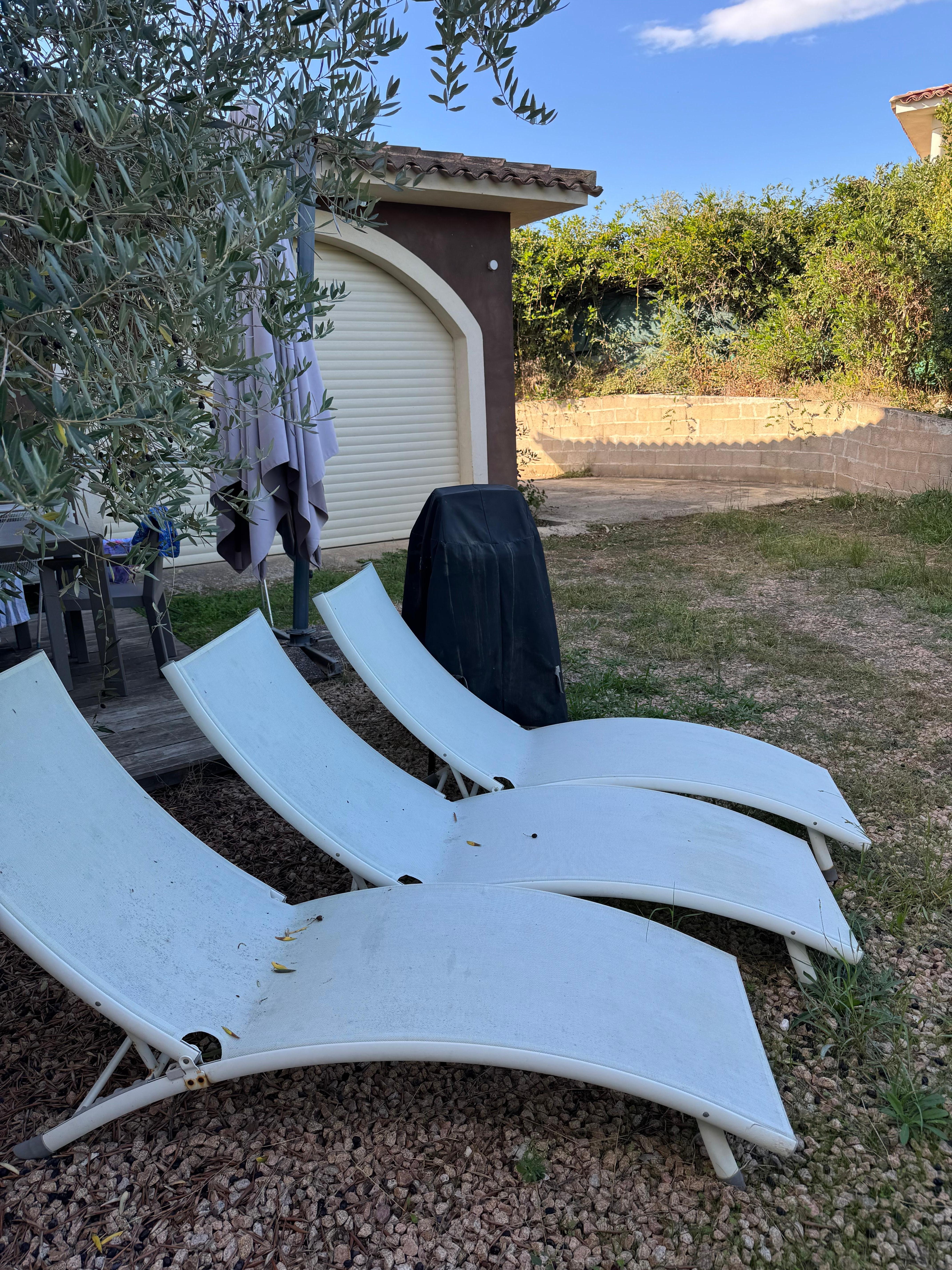 This was my yard. Which is still lovely! ...just not what I was expecting to get.