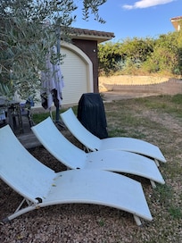 This was my yard. Which is still lovely! ...just not what I was expecting to get.