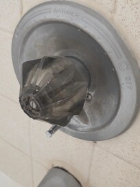Moldy handle