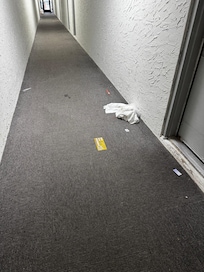 None of the staff would dare pick up the litter in the nasty hallway.