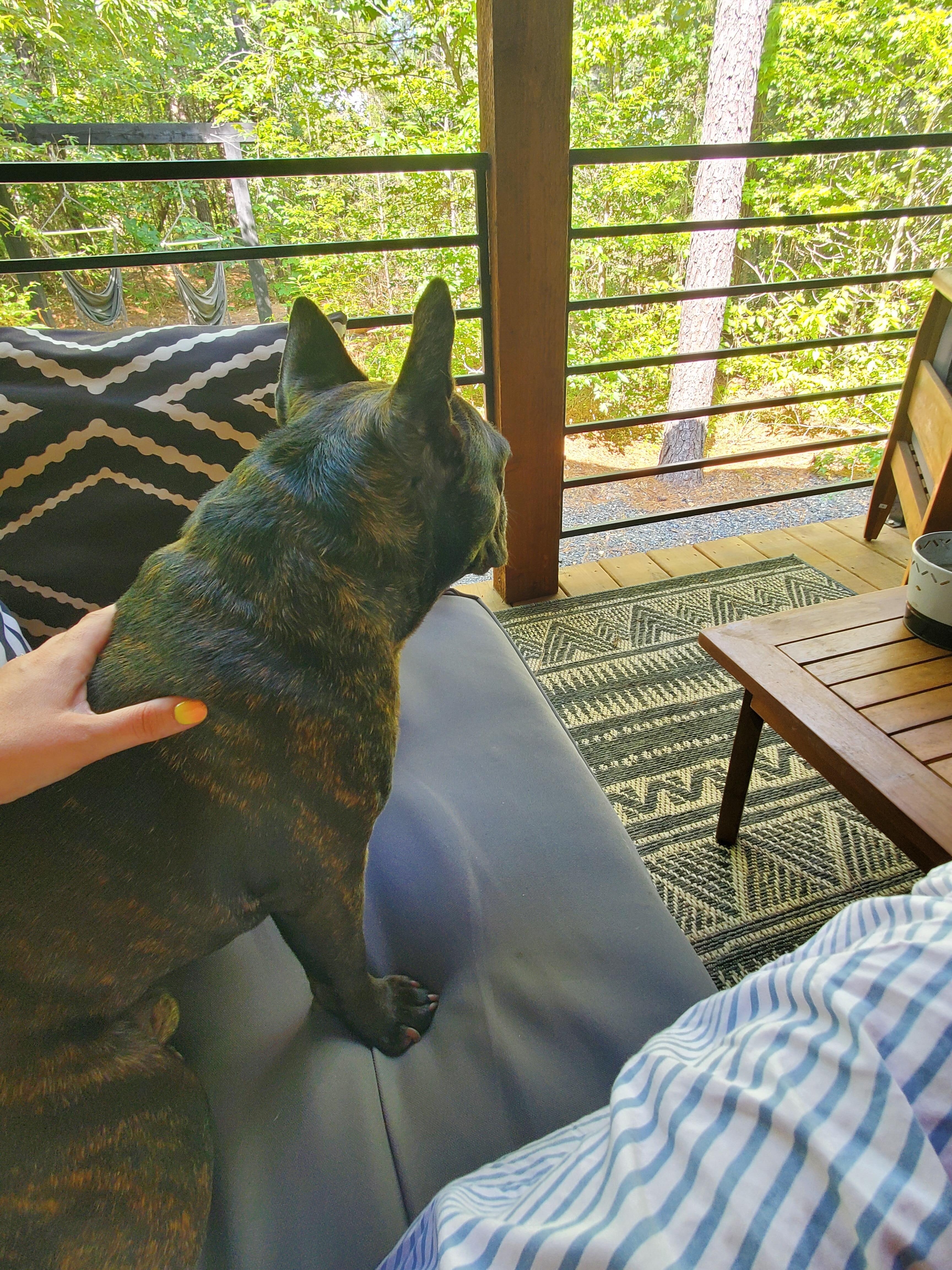 Prince loved the deck!!!
