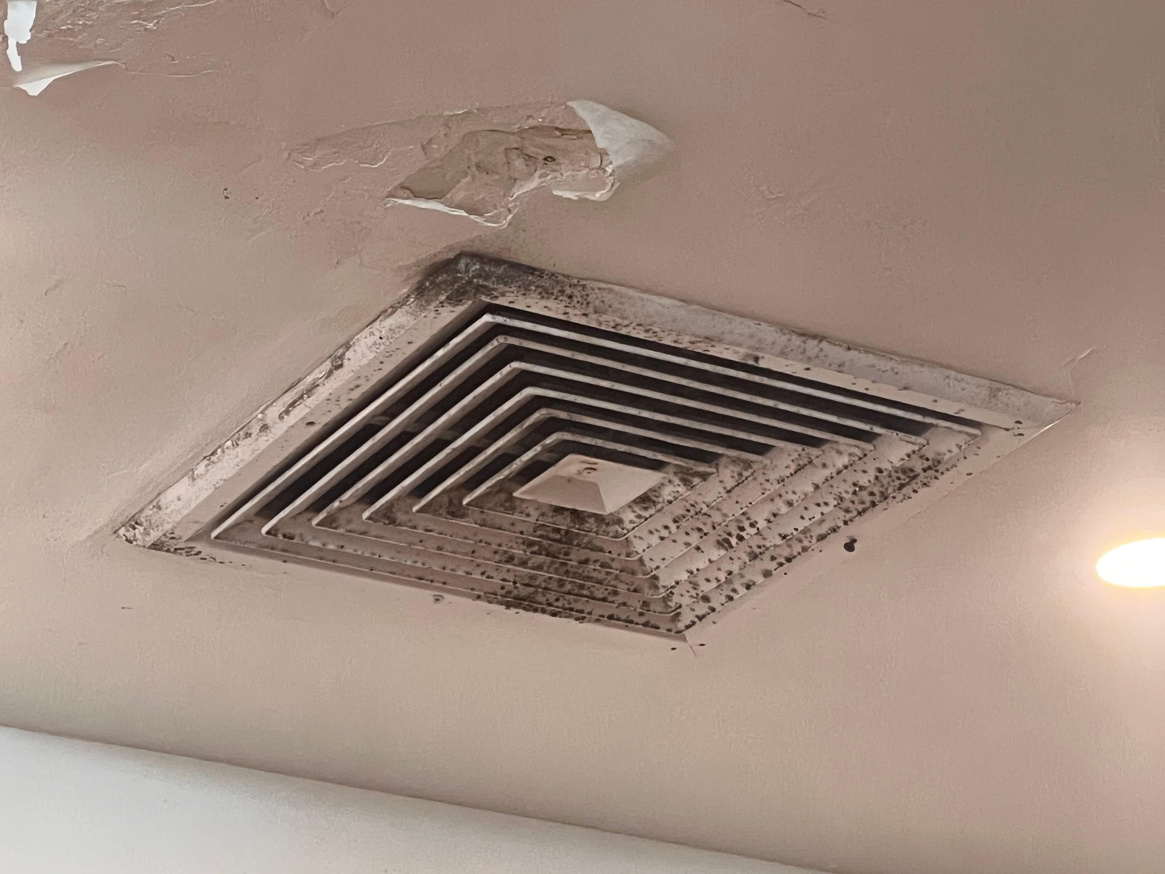 Ceiling vents at the buffet