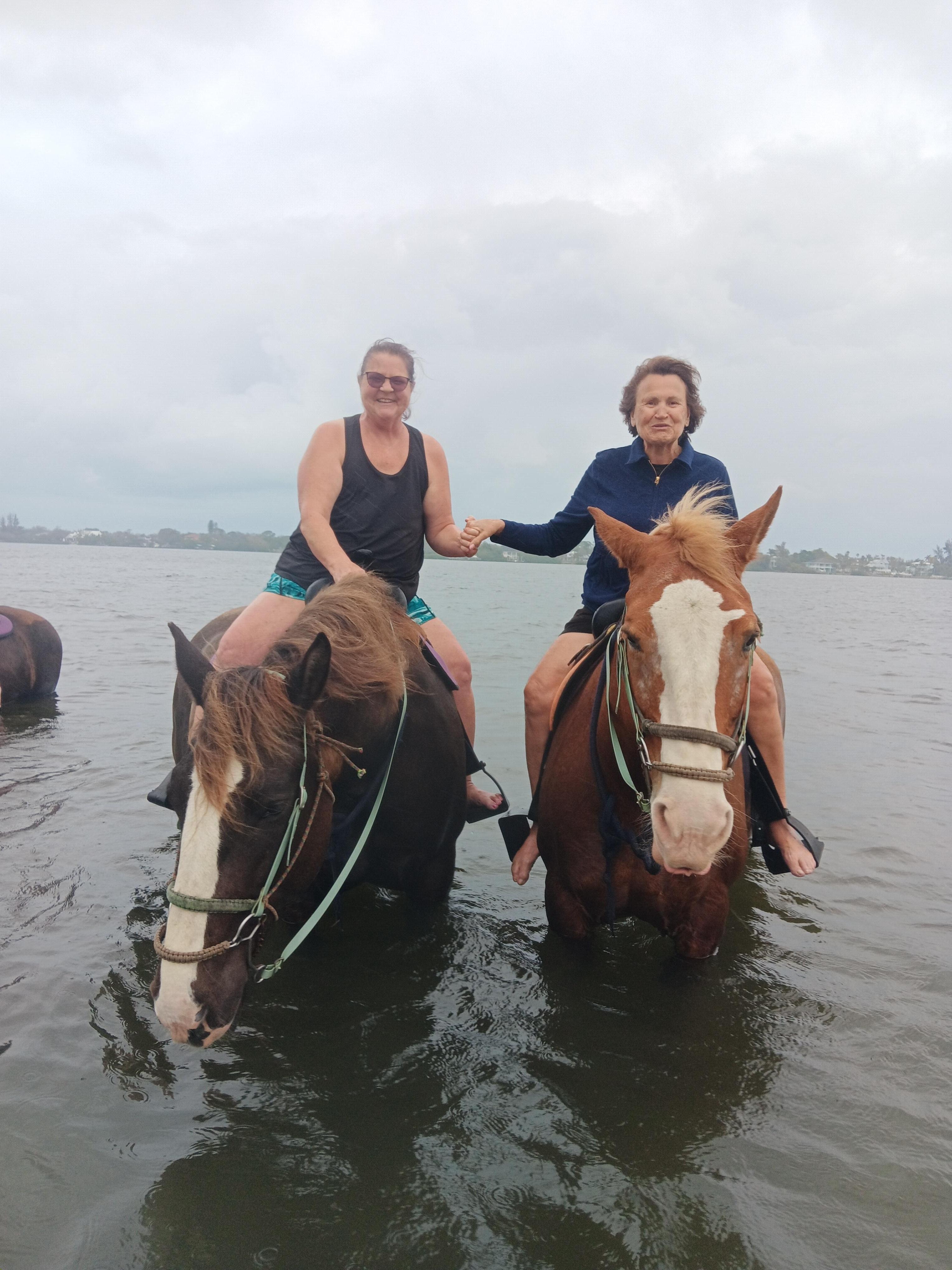 Short hop to riding horses in the water. Then explore Anna Maria Island while you're there!