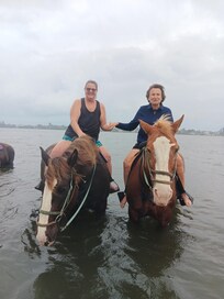 Short hop to riding horses in the water. Then explore Anna Maria Island while you're there!