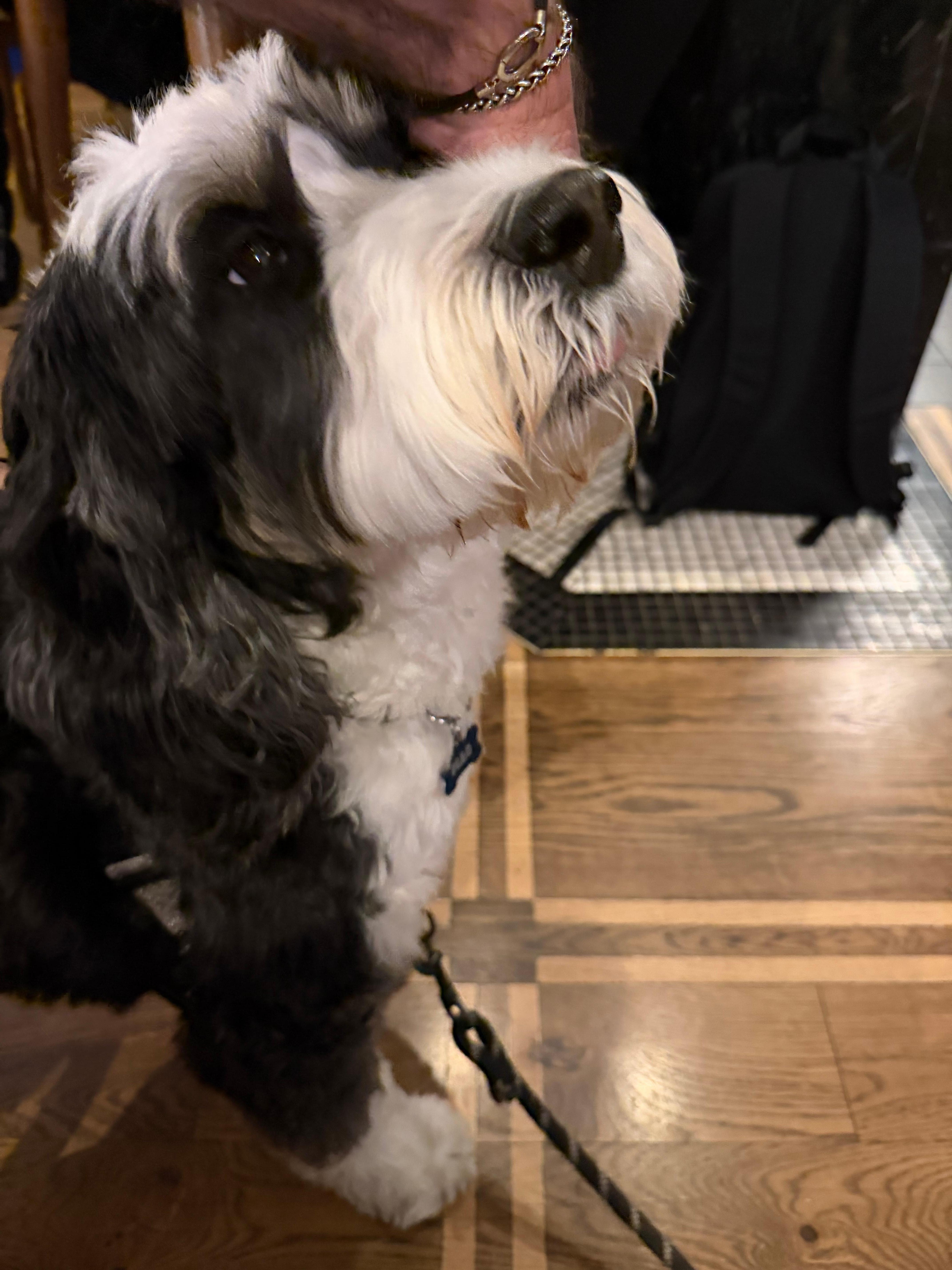 This is Mac, Met him at the bar too 