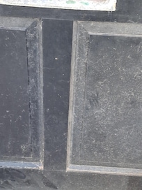 Behind toilet filthy