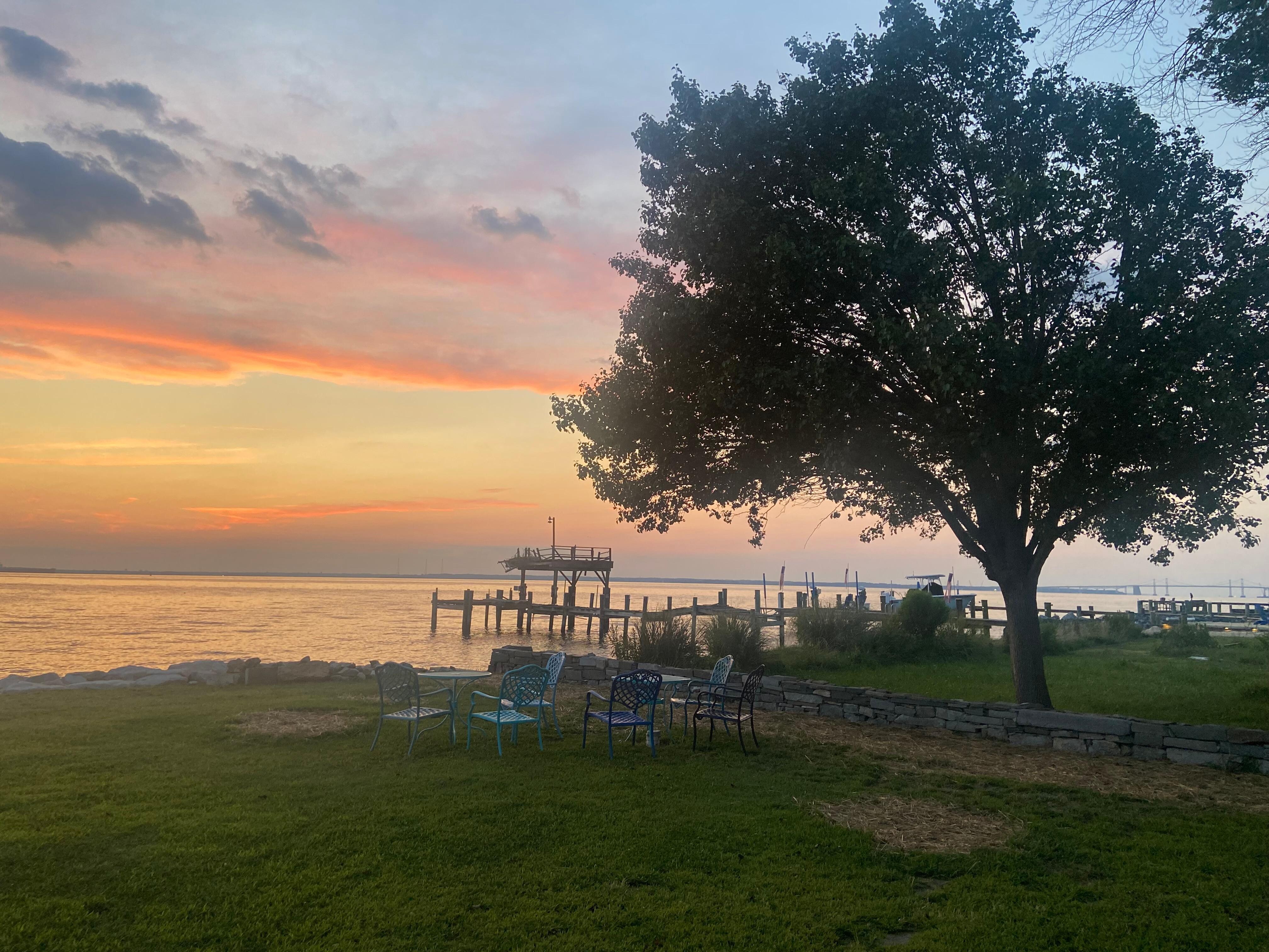 This was one of several beautiful sunsets viewed from the back yaard