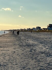 Morning on the beach!