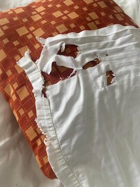 These sheets belong in the garbage