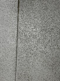 Mold on ceiling
