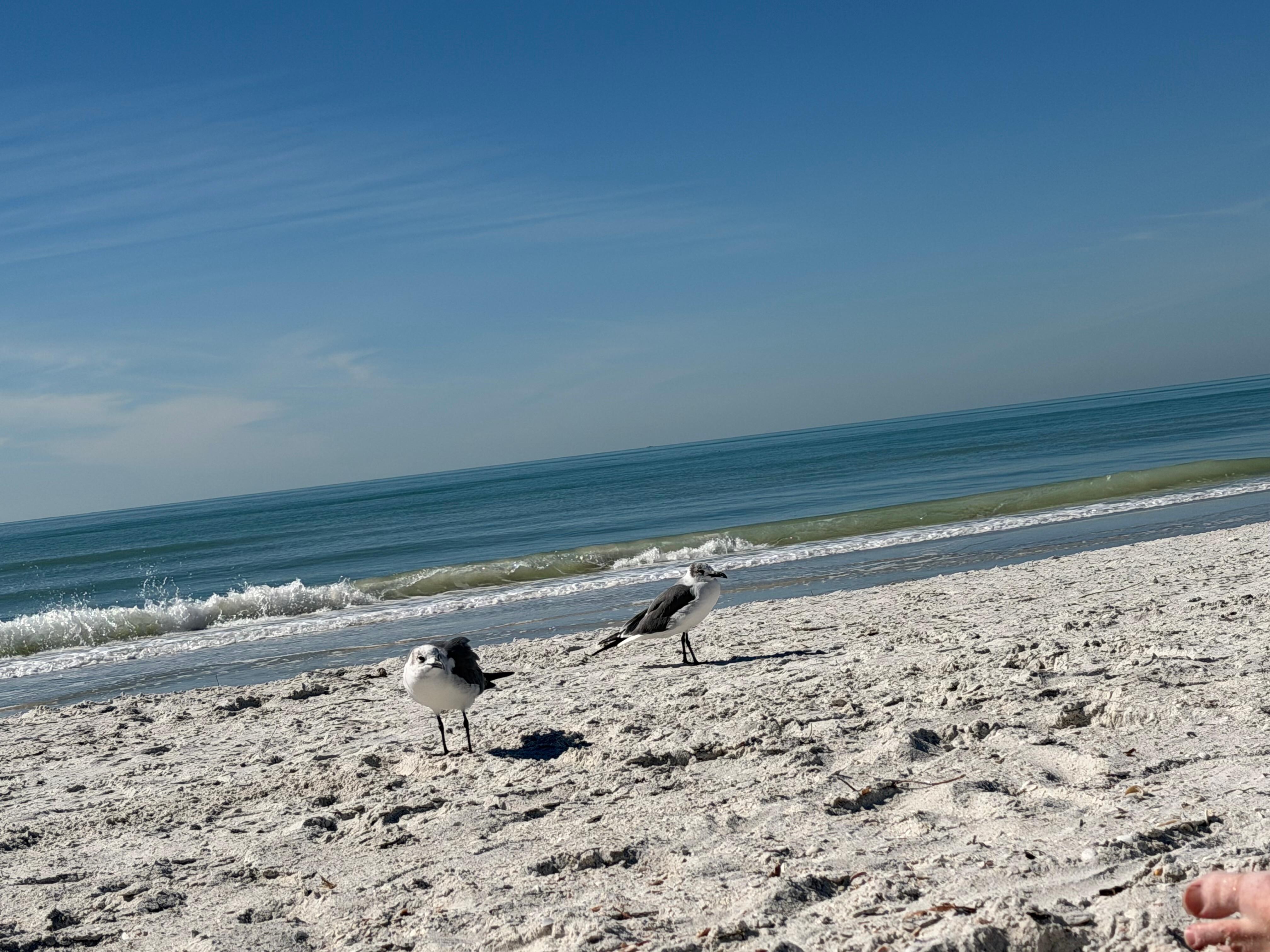 Beach just outside condo
