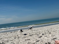 Beach just outside condo